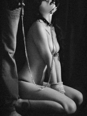 The Best BDSM Galleries