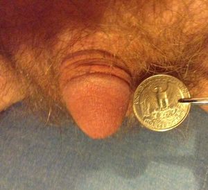 small cock and coin