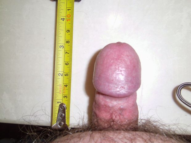 3 inches long cock
