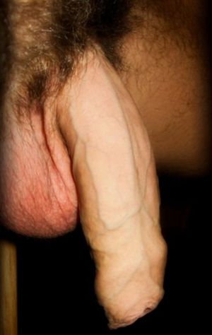 Heavy Sack of Coconuts