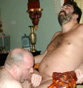 Bear Love