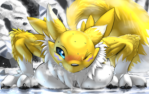 Renamon pushups