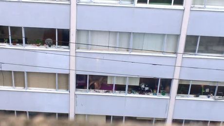 Neighbours Caught On Film :)