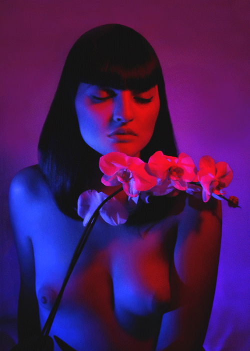 Celia by Digital Future / Louis MacLeandigital-future: Lighting...