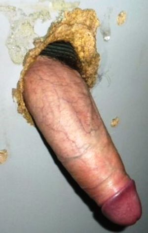 Thick Cock with huge red applehead in the hoooole