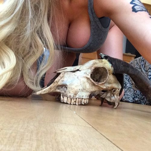 @swedishkiller_xoxo (via selfshotmag):
Put my tits in baes face...