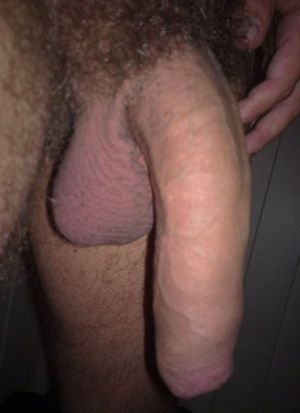 Hey Dick !! .. What's up ? .. Just Hanging Around