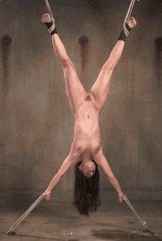 Suspension invert Gif
