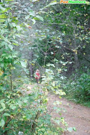 something sees me on the path in the woods