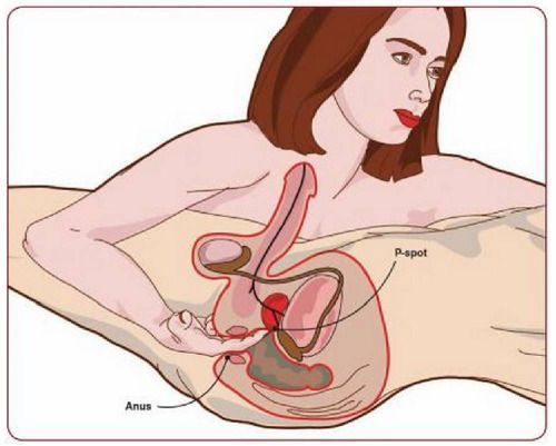 Prostate massage