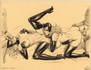 batgirl batman catwoman dc robin zimmerman