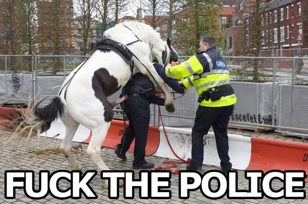 Fuck The Police ★ Pferd Fickt Cop ★ PunXXX