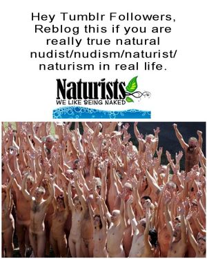 Photo Beautiful Nude Women, Nude Babes, Nude Girls, Naked Babes,...