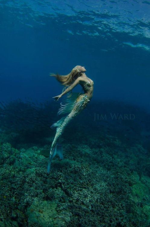Hannah Mermaid