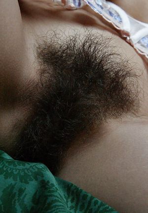 ブッシュ, 自然ファニー, 毛深い猫, 陰毛, arbusto, riñoneras naturales, coños peludos, vello púbico #Hairy #PubicHairs #ChattePoilue #Clams