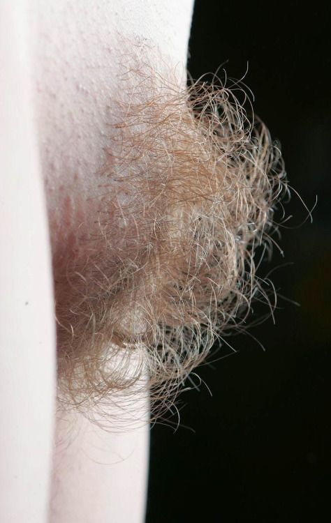 bush, natural fanny, chatte poilue, poils pubiens, touffe mouillée, humides, Буш