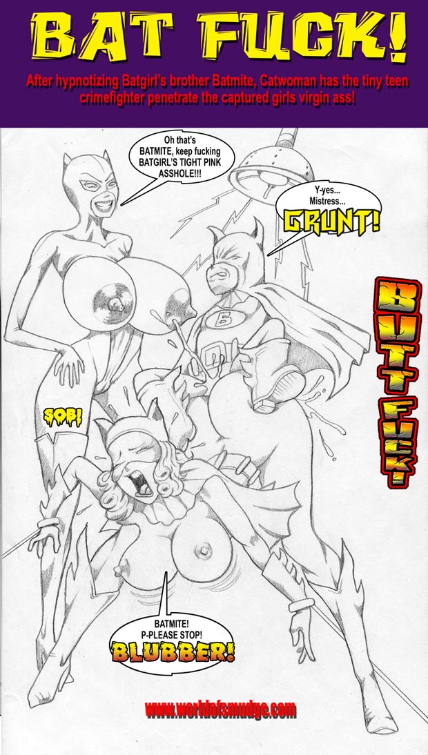 batgirl batmite catwoman dc smudge
