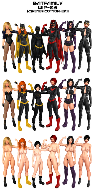barbara_gordon batgirl batman_family batwoman black_canary cassandra_cain catwoman dc female_furies huntress kate_kane petercotton