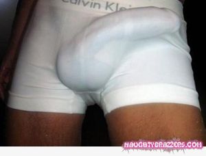 VAIRTY OF HORNY COCKS ..... Visit our website