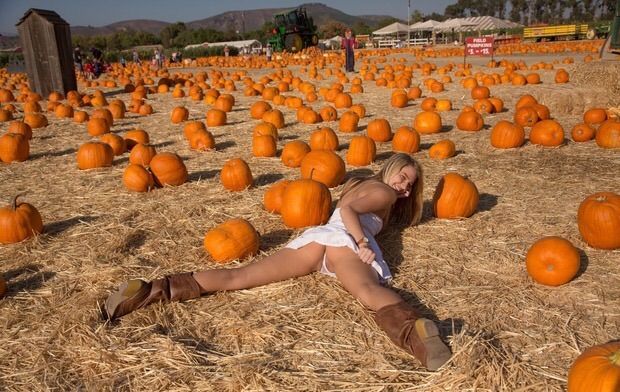 Cowgirl in pumpkin field