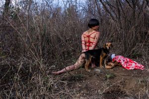 roquevedzagal: This is the best one of the day because the dog...