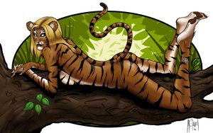 Beautiful tigress looking at you from a tree branch