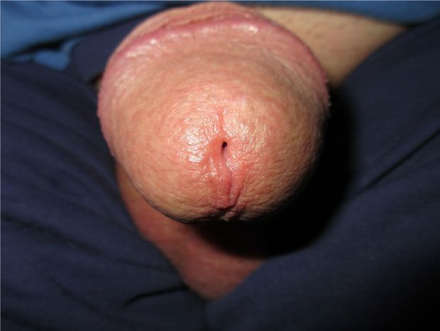 My softly Cock