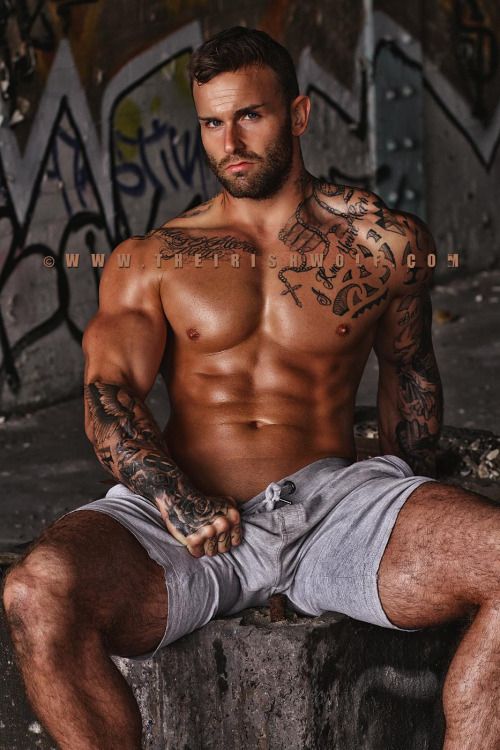 Reblog: Asher CollinsPhotos: The Irish Wolf