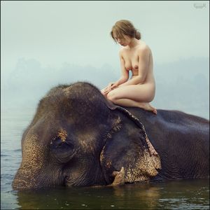 nude ladie on elefant's back