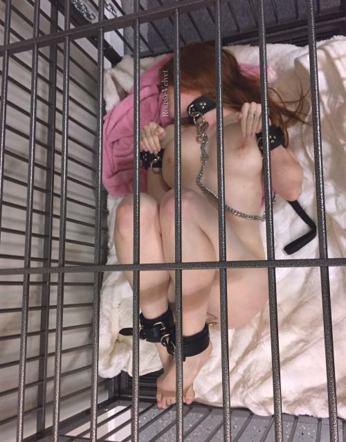 becomingtiger: roussevelvet: rub my belly?