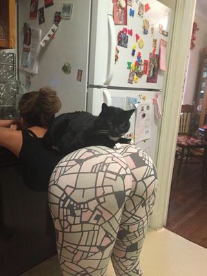 Cat upon his curvaceous throne.