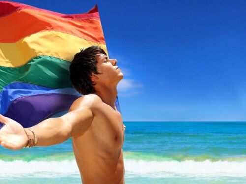 Reblog: I love being gay. I love being proud of who I am.