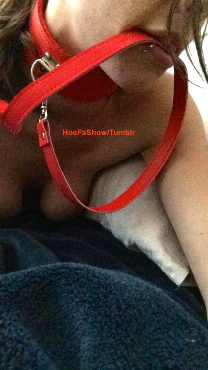 hoefashow:Daddy’s Perfect Pet(Please Keep Caption)