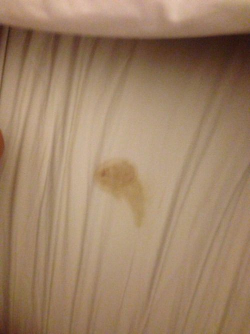 marketingslut:“ A glass of wine and I’m fingering myself to stories of girls being spanked by older women and cumming on their legs. I came so hard I left a dirty little stain on my bed. My clit was...