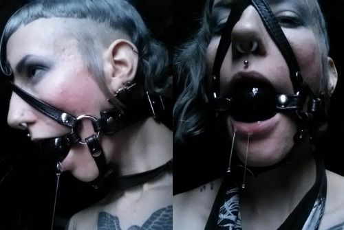 Follow us ♥ BallGaggedBitches

Videos ♥ Ball Gagged Bitches