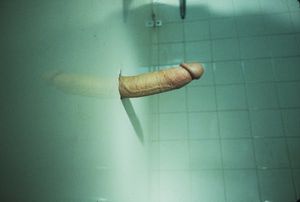 brucelabruce9.jpg (600×404)