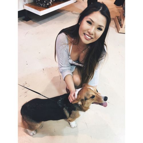lovely-dee:
Spotted a Corgi at Urban Outfitters! Bigboobs,...