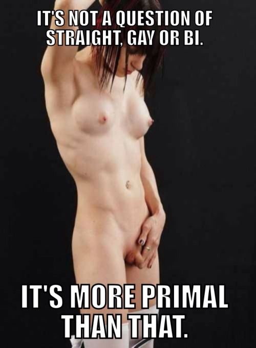 Follow us ♥ ShemaleCumsluts

Click for more ♥ Hot Shemales