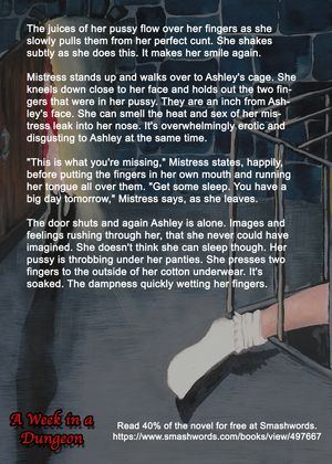 A Week In A Dungeon Excerpt P3- Please like if you want me to make more.