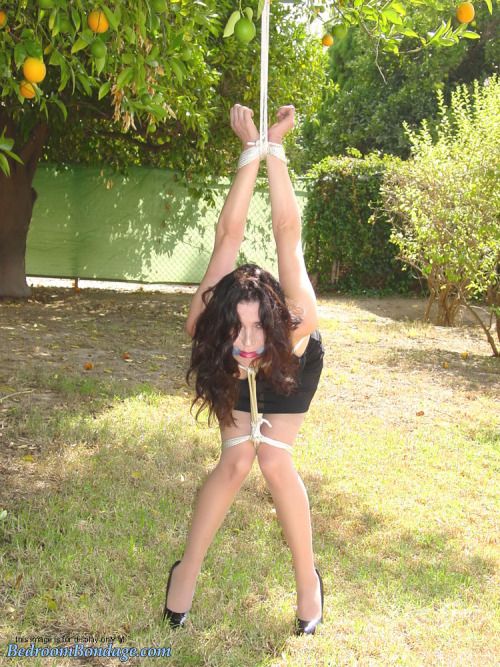 Follow us ♥ BallGaggedBitches

Click for more ♥ Ball Gagged...