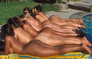 Lot to choose from - all at once