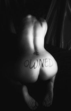 pet4sir:What a sexy bitch. She knows her place.