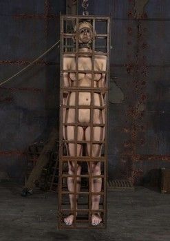 Slaves in various bondage devices and restraints #44