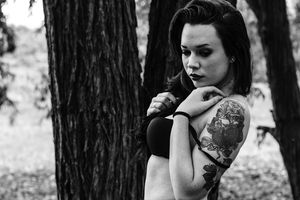 Sexy Tattooed Bitches 211