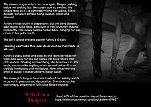 Lesbian Slave dungeon - Erotic Text- like if you want me to make more!