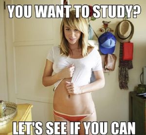 Every time before exams