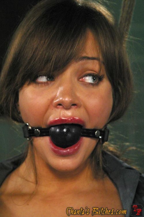 Follow us ♥ BallGaggedBitches

Click for more ♥ Ballgagged...