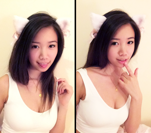 tranqvil:

Free Neko-chan looking for an owner, preferably...