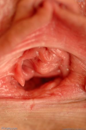 Vert close-up pic of a pussy hole