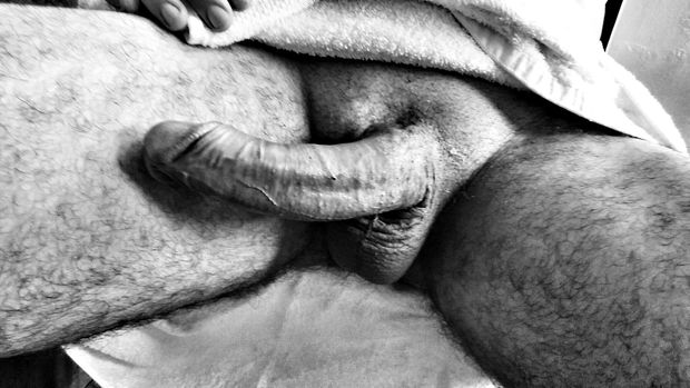 Cock art